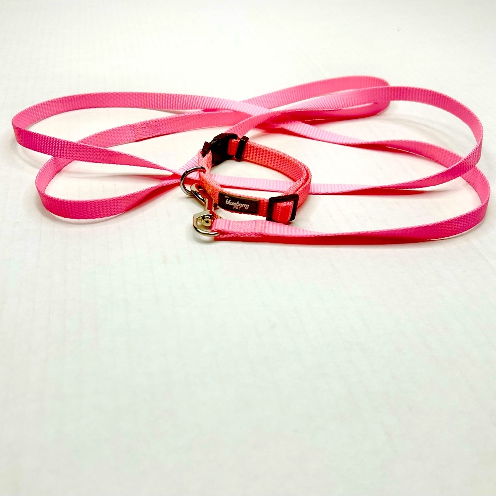 [blueberry pet] Small Pink Nylon Collar and Leash